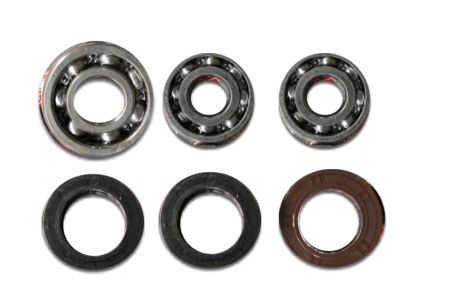 SOLAS Seal and Bearing Kit for all Solas KGX Pump 1608158001