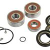 WSM Kawasaki SXR 1500 Pump Repair Kit 003-614-03